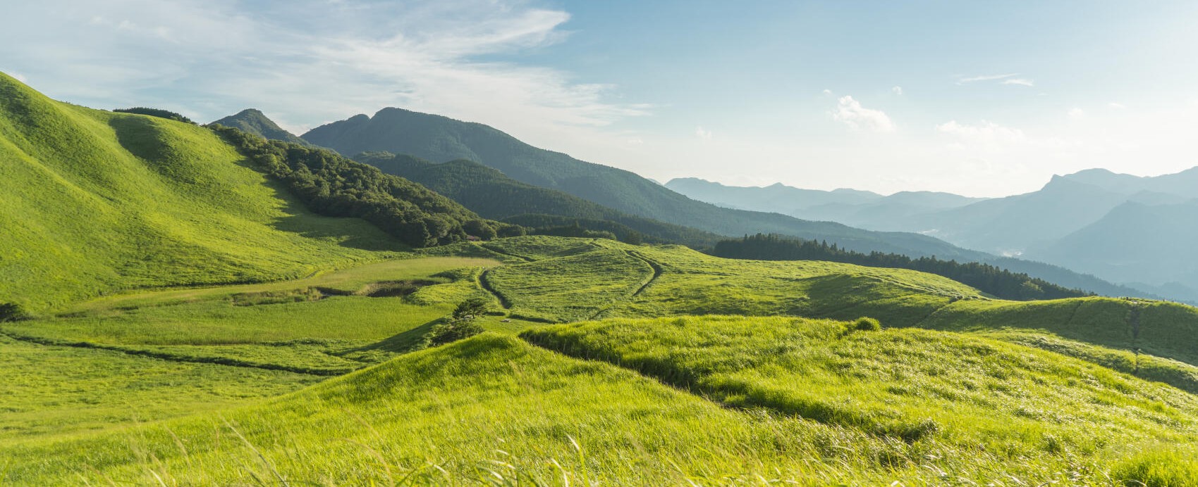 „Ohne Wärmewende keine Energiewende“ – Unser Vorstand Florian Stöger spricht im Handelsblatt